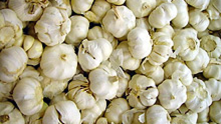 Изображение 5311