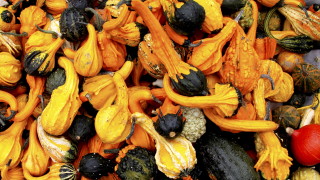 Октомври започва със слънце