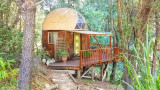  Mushroom Dome Cabin, Airbnb и кой е най-популярният парцел в платформата 