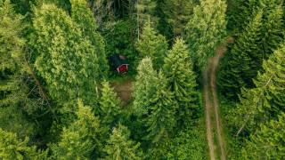 Финландия се сблъска с нуждата да внася биомаса въпреки че