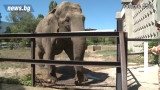 Всеки може да види храненето на животните в софийския зоопарк