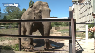 Днес столичният зоопарк пуска посетителите „зад завесите“
