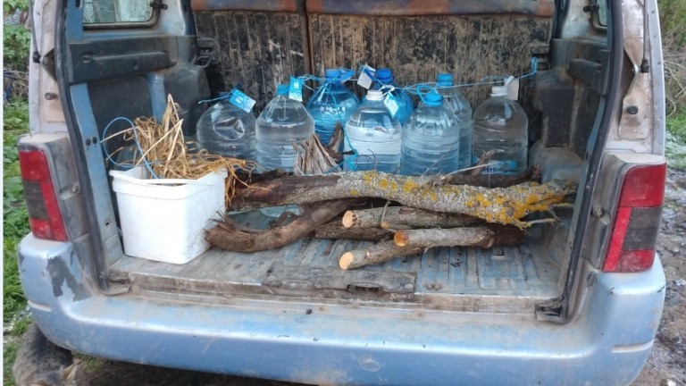 Изображение 507711