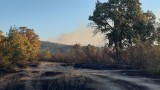  Голям горски пожар бушува в Хасковско 