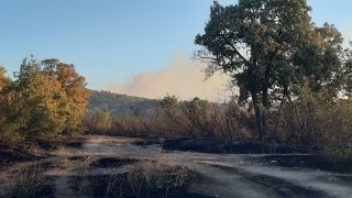 Потушиха пожара в Хасковско