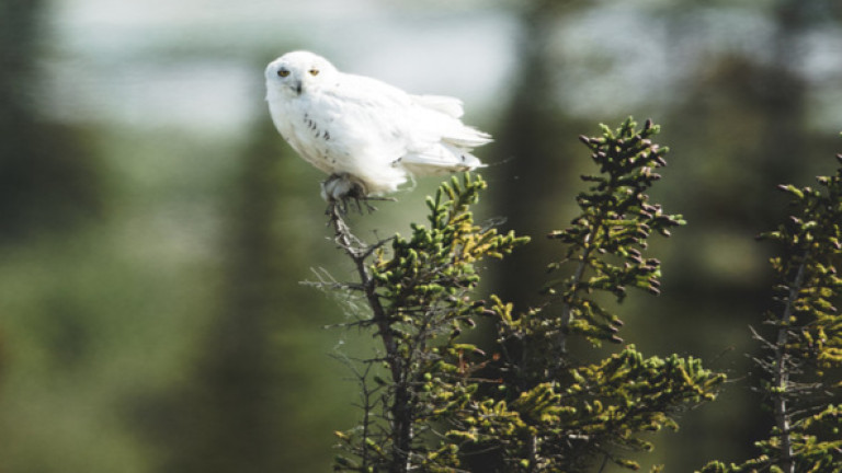 Изображение 388411