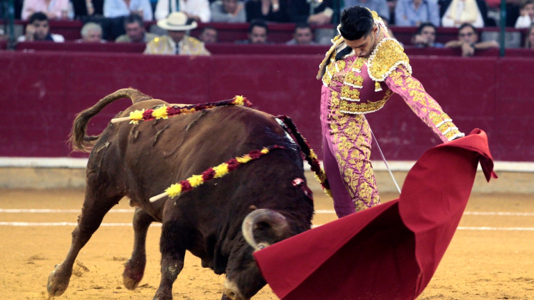 Топ съдът на Испания отмени забрана за провеждане на бикоборство в Каталуния