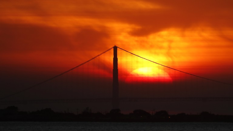 Изображение 319111