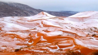 В Сахара падна сняг за пръв път от близо 40 години 