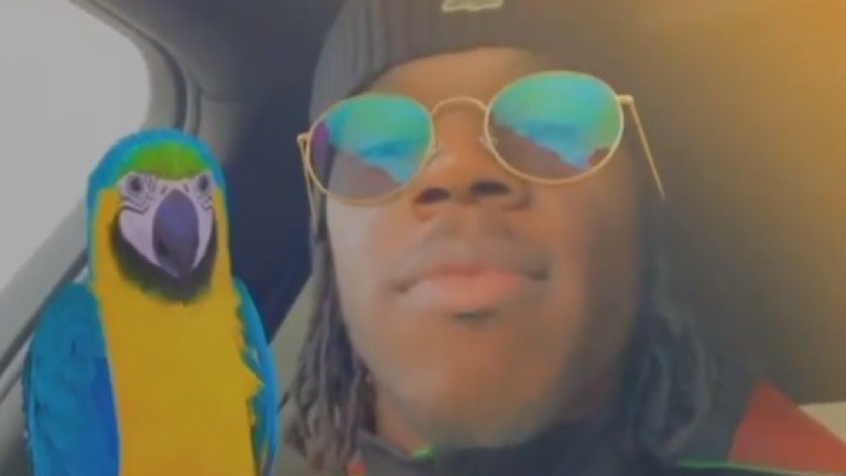 Звездата на Берое се подиграва с Ботев (Пловдив)