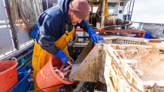 Български фермерски съюз критикува Министерство на земеделието за неглижиране на