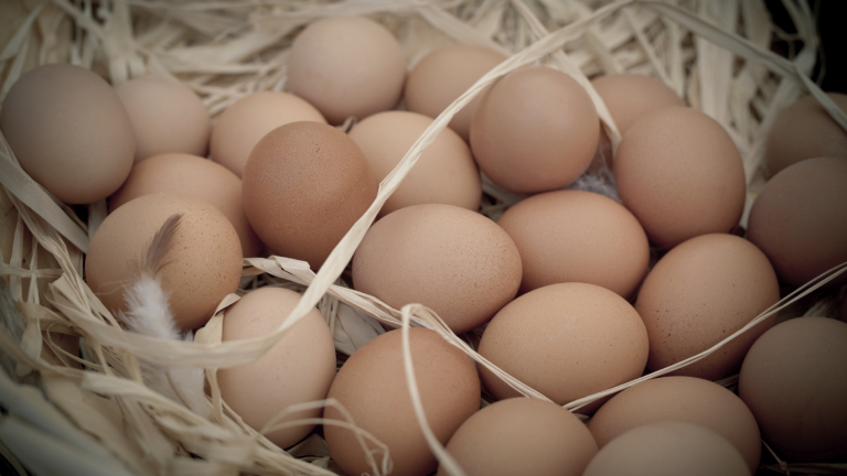 Търговска верига изтегли яйца от магазините си заради фипронила