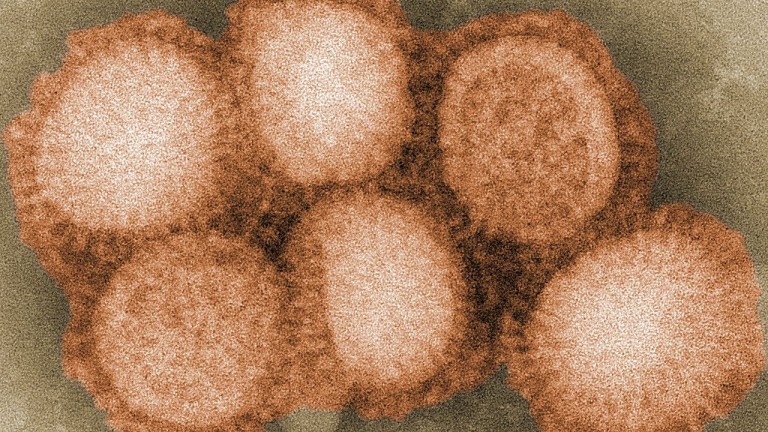 Птичи грип с щам H7N4 тръгна и по хората, пише