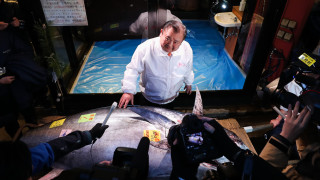 Как изглежда риба тон за близо 2 милиона долара