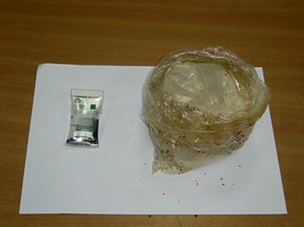 Пътник укри хероин за 215 хил.лв. около глезените си