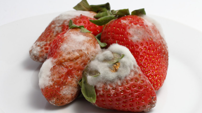 Безопасно ли е да ядем развалени ягоди