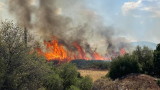  Гръцките пожарникари се борят с горските пожари, разпалвани от плевел вятър 