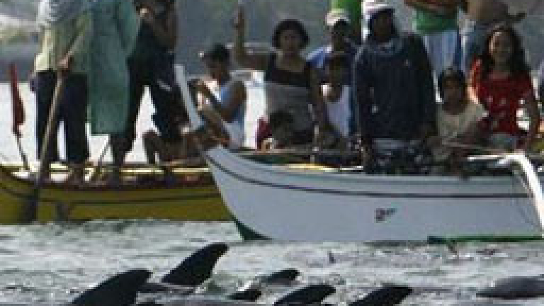 Изображение 71112