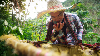 Подобно на много други култури и кафето се характеризира с