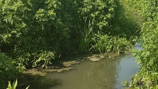 95 проверки са извършили през първите два месеца на годината