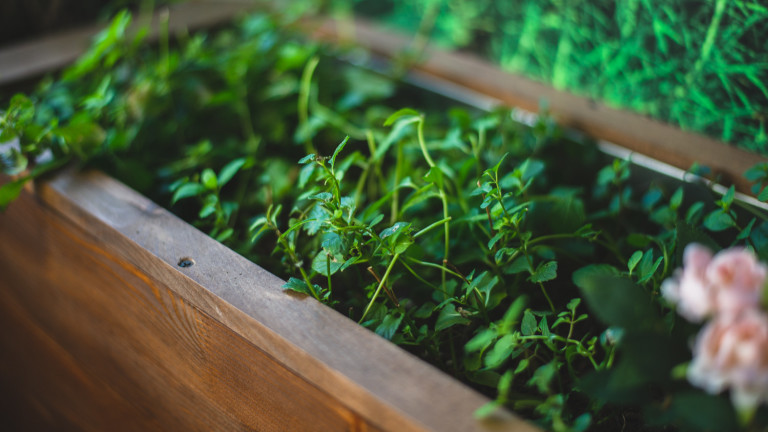 Изображение 442712