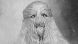 Гноми брадати жени двуполов човек най високата жена жената пиле са