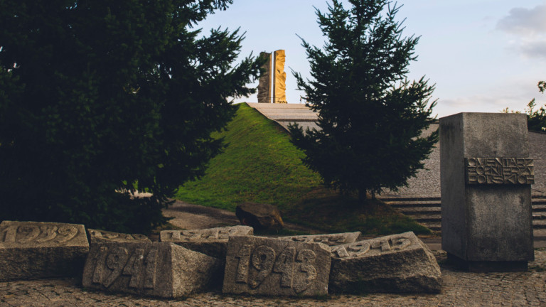 Изображение 423012