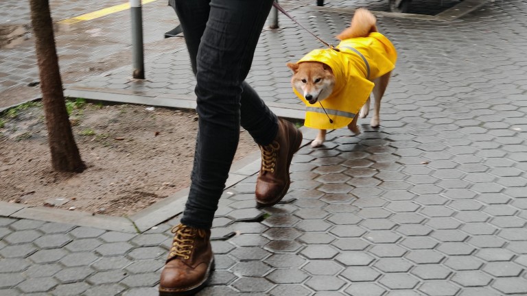 Изображение 753112