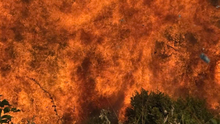 Изображение 733212