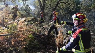 Пожарникарите успяха да спрат разпространението на в Югозападна Франция позволявайки