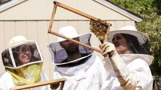 Истински мед за едните и истински възможности за реализация