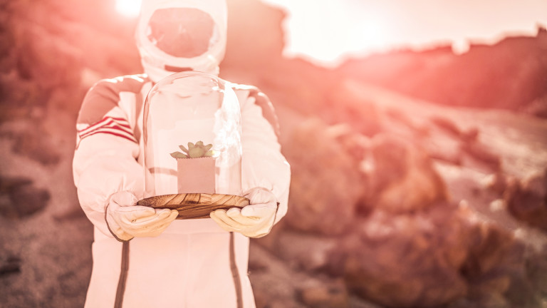 Как ще се изхранват един милион души на Марс