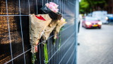 Стрелецът от Ротердам е имал психични проблеми