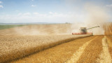 Защо приходите на ЕС от износ на пшеница падат с €1,5 милиарда
