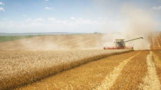 На фона на цяло десетилетие растящи зърнени добиви руското Министерство