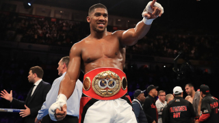 Антъни Джошуа може да победи Деонтей Уайлдър Подобно мнение изказа