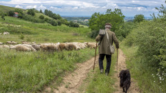 Пастир нападна с нож общински охранители в Раковски