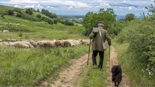 Пастир нападна с нож служители на Общинска охрана в град