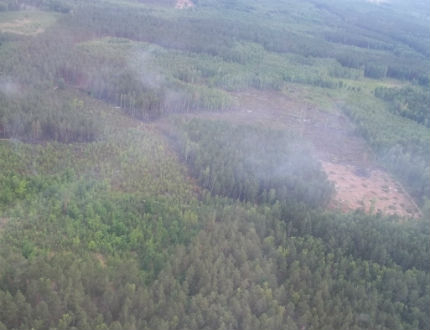 Над 30 горски служители гасят два горски пожара в Черни Вит