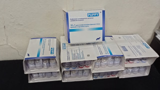 Митничари задържаха недекларирани ветеринарни ваксини паспорти и чипове за домашни