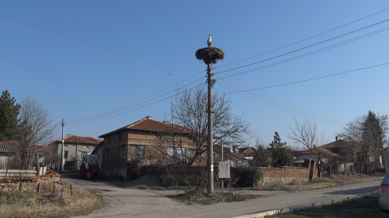 Изображение 407812