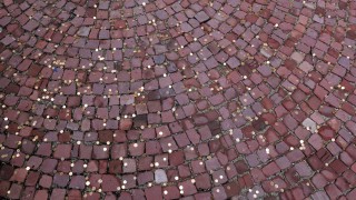 През последните няколко дни се сдърпахме за културата защото някой