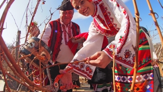 Трифон Зарезан е празник и на резиденция Евксиноград