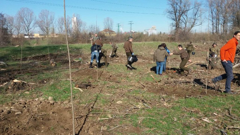 Залесяват 650 дка увредени гори в Югозападна България