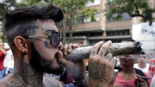 Канабисът се отглежда като култура от хилядолетия но има малко