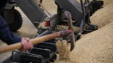 Износът на зърно от Украйна е намалял наполовина