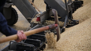 Значителен спад беляза доставките на зърно от Украйна Износът на