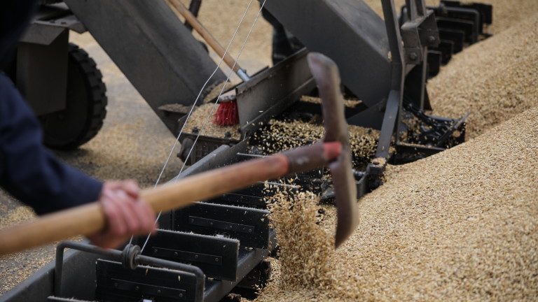 Значителен спад беляза доставките на зърно от Украйна. Износът на