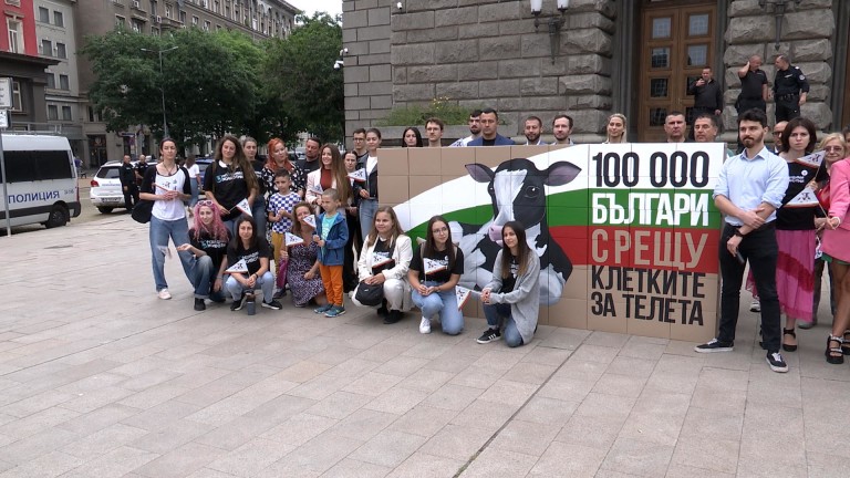 Детство в бетонена килия: Внесоха 110 хил. подписа за забрана за клетките за телета