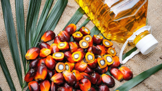 Идва ли краят на палмовото масло